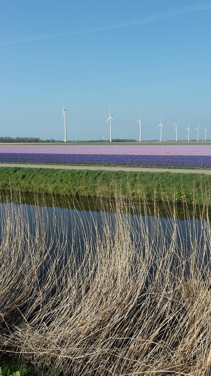 דירות Sint Maartensbrug Vredehof מראה חיצוני תמונה